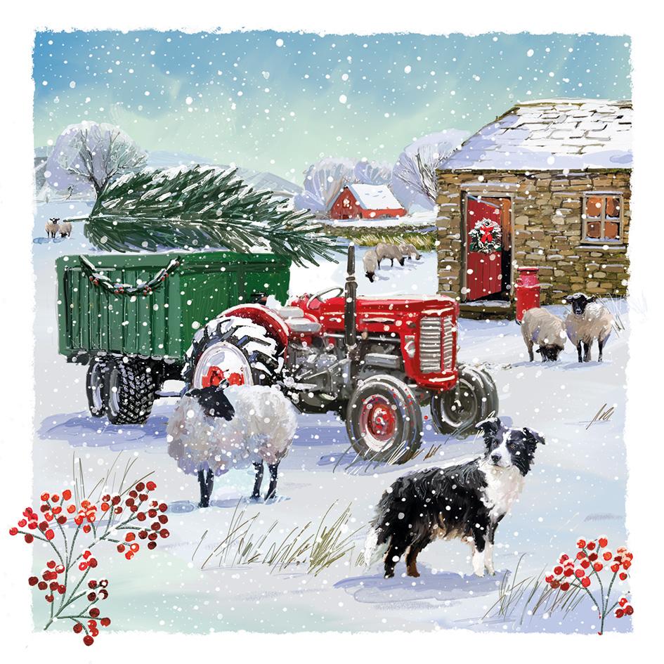 Christmas Sheep Dog E2615