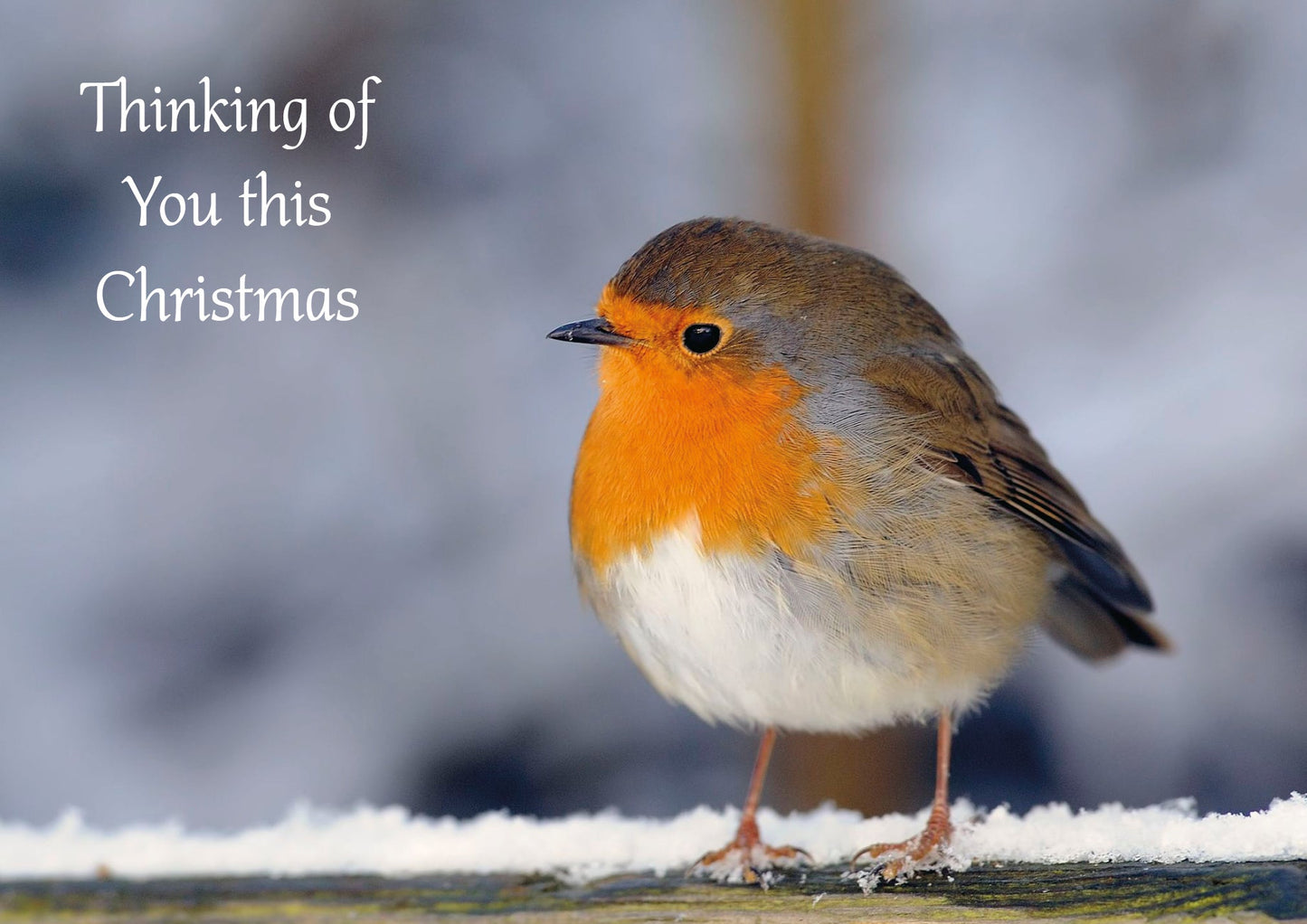 Christmas Single Robin with words D2607