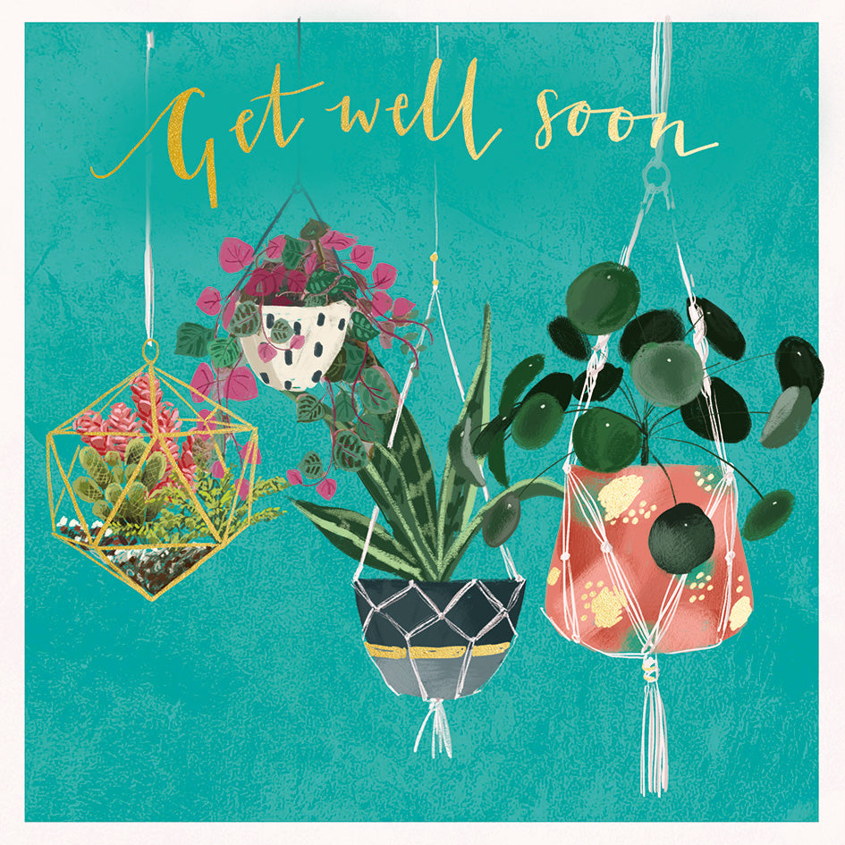 Get Well - hanging plants - S271 (New)