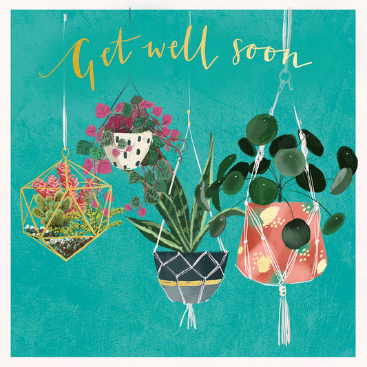 Get Well - hanging plants - S271 (New)