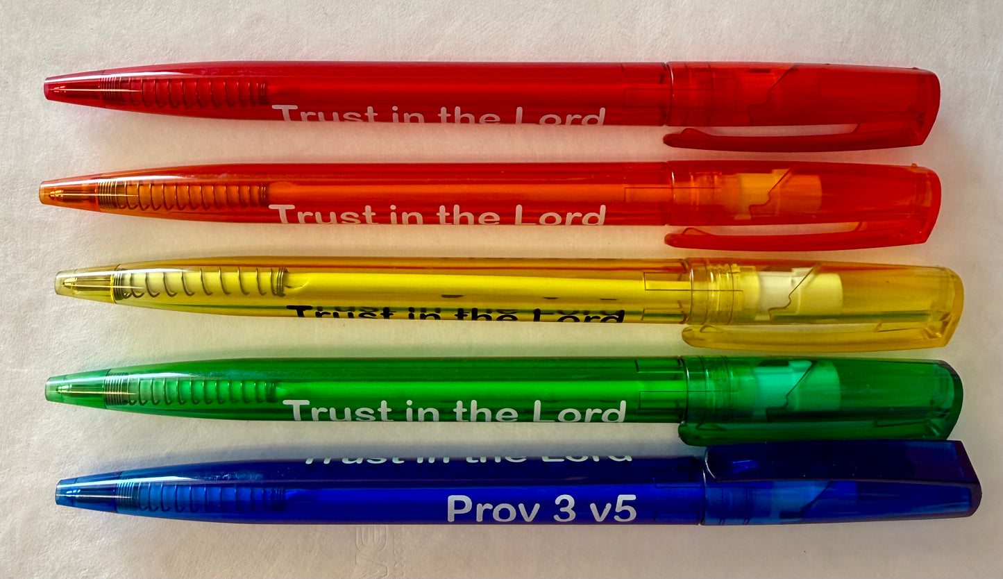 Plastic Ball Pen - PEN2
