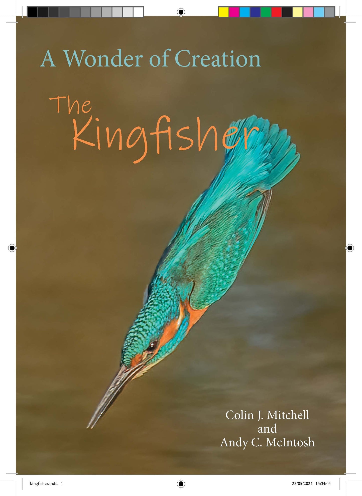 Wonder of a Kingfisher