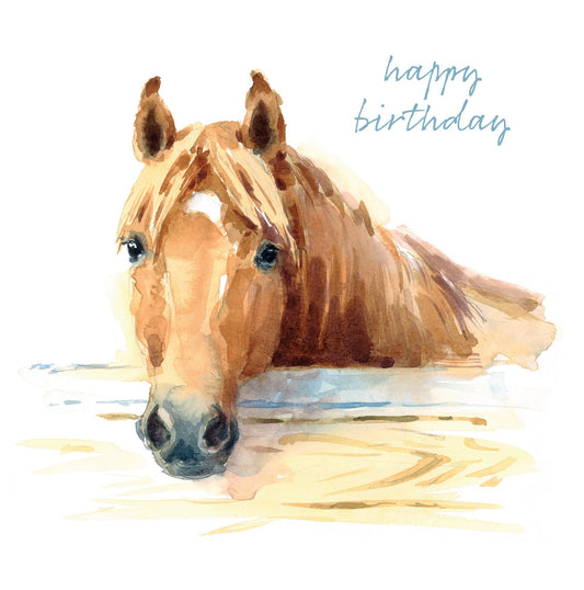 NEW: Birthday - Stable Door - S221